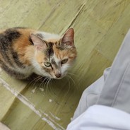 底价回收屠龙雷神黑龙