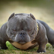 Ð²Ð»Ð°Ð´Ð¸Ðº ÑÐ°ÑƒÐ½Ð´Ð¿Ð°Ð´