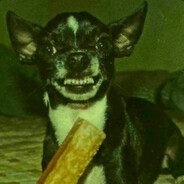t1