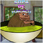 Sopa Do