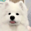www