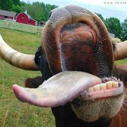 LanzaPIEDRAS - steam id 76561198137727029