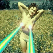 小鸡1块大鸡8毛