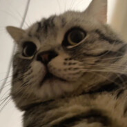 魔法少女皮长山