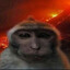 osdkk