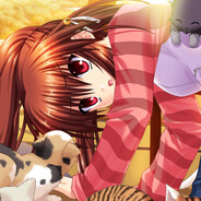 touhoupv.flv