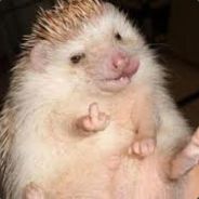 S@PIKE - steam id 76561197961289049