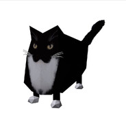 lizarg wizarg