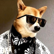 今天你wo西了吗