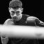 Bivol