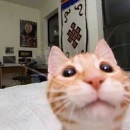 她说智齿好疼需要急拔