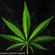 EZ-777-DI - steam id 76561197965657523