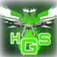 hGs