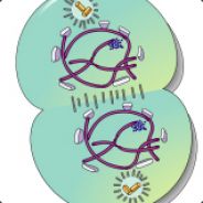 Mitosis