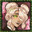 Graves - Apollo's Girlfriend