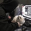 狗特快