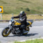 Yellowyam1300