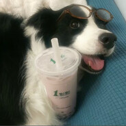 打瞌睡的陆小果