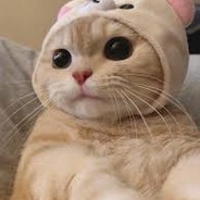 never meant to hurt you