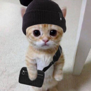 KatKit