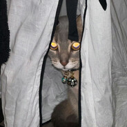 RY really don't like you