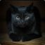 black_cat