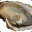 MoisterOyster