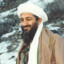 Osama bandit.gg