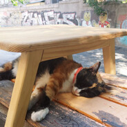 сон про део ланос