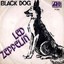 Camarada Black Dog