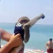 шкажи жека хуарач