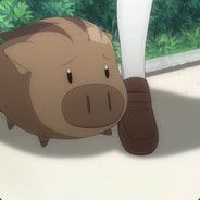 boar's avatar