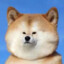 ikun白给