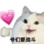 打我自动下载原神