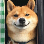 阳光开朗大男孩