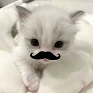 тренер по фиду