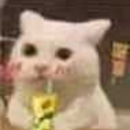 马嘉祺超绝鸡肉面条