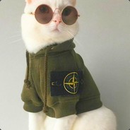 ⎝Kat_Stone_Island⎠CS.MONEY