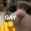 🌈FAQdude🌈