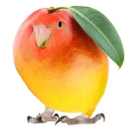 Solder_from_tf2's avatar