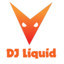 DJ Liquid