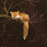 Cherry-coloured Funk