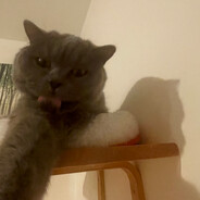 𝕮𝖚𝖙𝖈𝖍999