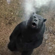 ryan ≠ good