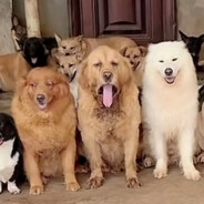 下等马给我田忌吧