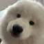 sooophia