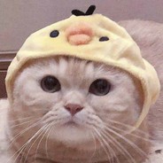 不许说我朋友好话