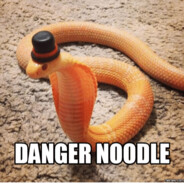 DANGER NOODLE