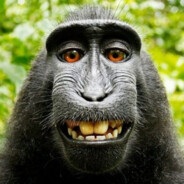 乂丹乚丨乙乙 - steam id 76561199392993612