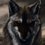 ShadowWolfBR